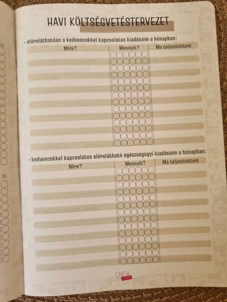 Havi költségvetés